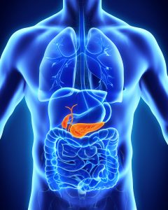 Pancreatitis, pancreas, chronic pancreatitis