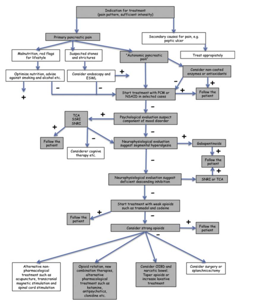 Guidelines for pain management